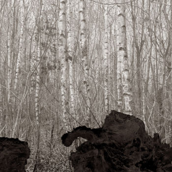 Fotografie getiteld "Cœur de forêt II" door Jeanpaul Zak, Origineel Kunstwerk, Digitale fotografie