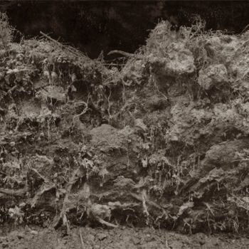 Fotografía titulada "Cœur de forêt III "…" por Jeanpaul Zak, Obra de arte original, Fotografía analógica