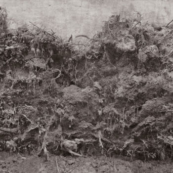 Fotografie mit dem Titel "Cœur de forêt III "…" von Jeanpaul Zak, Original-Kunstwerk, Analog Fotografie