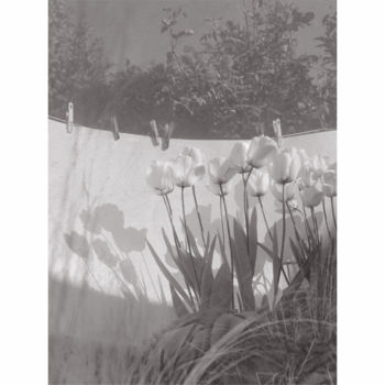 Fotografia zatytułowany „Tulipes blanches I” autorstwa Jeanpaul Zak, Oryginalna praca, Fotografia filmowa