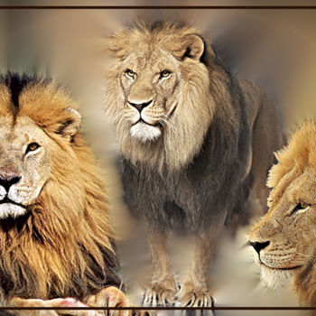 Arte digital titulada "Lions.jpg" por Jean-Pierre Gueret, Obra de arte original, Foto-montaje