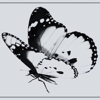 Digital Arts titled "Papillon N&B 1.jpg" by Jean-Pierre Gueret, Original Artwork, Photo Montage