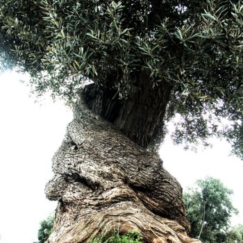 Fotografie getiteld "Arlecchino - il bos…" door Jebell, Origineel Kunstwerk, Digitale fotografie