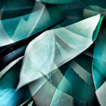 Photography titled "Blades" by Jeff Griffiths, Original Artwork, Manipulated Photography