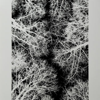 Painting titled "Canopy" by Jeff, Original Artwork, Ink