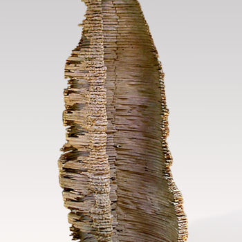Sculptuur getiteld "Vessel #32—Witness" door Jeff Key, Origineel Kunstwerk, Hout