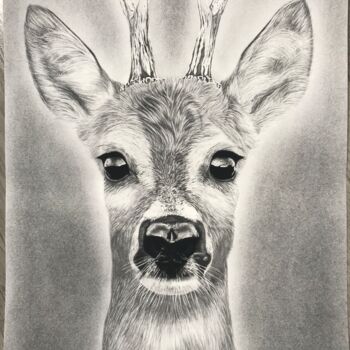 Drawing titled "Tirage d’art cerf A3" by Jendrw, Original Artwork, Graphite