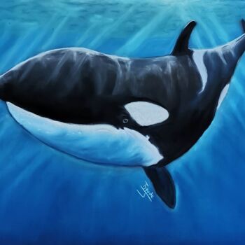 Pintura intitulada "L'orque le super pr…" por Jennifer Tyrode, Obras de arte originais, Pastel