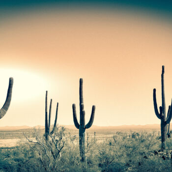 Photography titled "Saguaros in Sonora" by Jennifer Wright, Original Artwork, Digital Photography