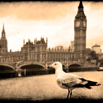 Photographie intitulée "Gull and Big Ben" par Jennifer Wright, Œuvre d'art originale, Photographie numérique