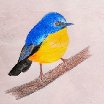 Painting titled "beautiful bird.jpg" by Guddu, Original Artwork, Acrylic