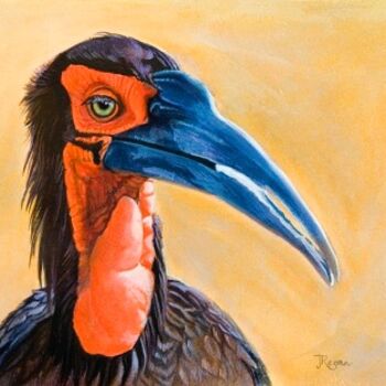 Schilderij getiteld "Ground Hornbill" door Jenny Regan, Origineel Kunstwerk