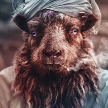Digitale Kunst mit dem Titel "smoker sheep" von Jeremy Bourgois (Nyssop design), Original-Kunstwerk, Fotomontage