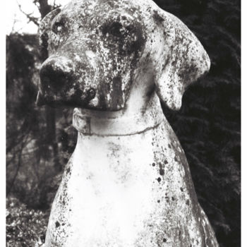 Fotografia intitulada "Dog.jpg" por Jérôme Bouchez, Obras de arte originais