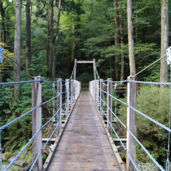 Fotografia intitolato "Bridge across the r…" da Jérôme Castaing, Opera d'arte originale, Fotografia digitale