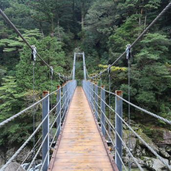 Φωτογραφία με τίτλο "Bridge across the r…" από Jérôme Castaing, Αυθεντικά έργα τέχνης, Ψηφιακή φωτογραφία