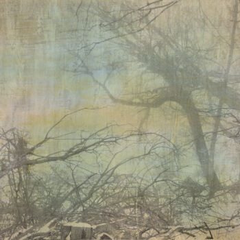 Printmaking titled "Deep in the Woods /…" by Jerome Goldnose, Original Artwork, Digital Print