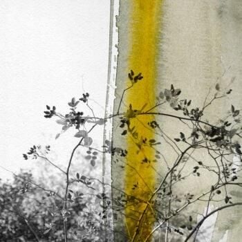 Photographie intitulée "Luce" par Jerome Pergolesi, Œuvre d'art originale, Photographie numérique