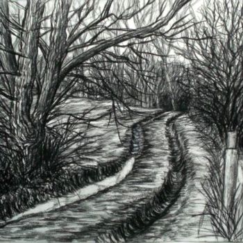Dessin intitulée "Chemin forestier en…" par Jérôme Cambra, Œuvre d'art originale, Graphite