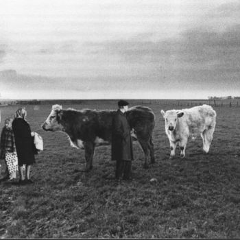 Fotografia zatytułowany „On va finir par pre…” autorstwa Jérôme Cambra, Oryginalna praca