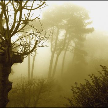 Photography titled "effet de brouillard" by Jérôme Cambra, Original Artwork