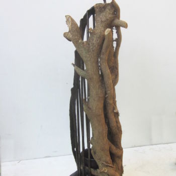 Escultura titulada "Walden" por Jérôme Danikowski, Obra de arte original, Metales