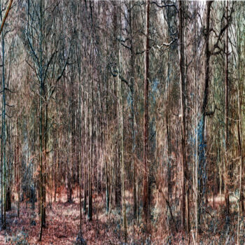 Digital Arts titled "FOREST 03" by Jerzy Konstantynowicz, Original Artwork, Digital Painting Mounted on Wood Stretcher frame
