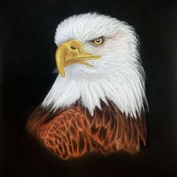 Рисунок под названием "American eagle 🦅" - Jess.C.Art, Подлинное произведение искусства, Пастель