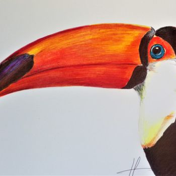 Dessin intitulée "toucan.jpg" par Jessica Guilbot, Œuvre d'art originale, Stylo à bille