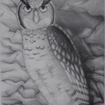 Drawing titled "Hibou Grand-duc" by Jessie Poitras (La Panthère Blanche JP), Original Artwork, Graphite Mounted on Cardboard