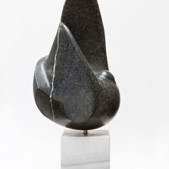 Escultura intitulada "Paloma Negra" por Jesús (Xuxo) Vazquez, Obras de arte originais, Pedra