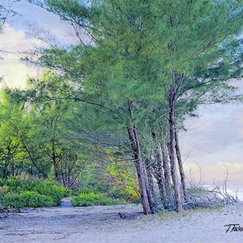 "Beach Woods" başlıklı Tablo Thomas Jewusiak tarafından, Orijinal sanat