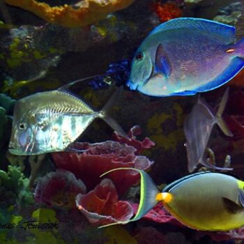 "Tropical Fish" başlıklı Tablo Thomas Jewusiak tarafından, Orijinal sanat