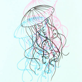 Desenho intitulada "JELLYFISH" por Jibration, Obras de arte originais, Tinta