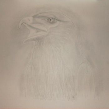 Drawing titled "L'Aigle" by Jean-Jacques Gomez, Original Artwork, Other