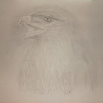 Dessin intitulée "L'Aigle" par Jean-Jacques Gomez, Œuvre d'art originale, Autre