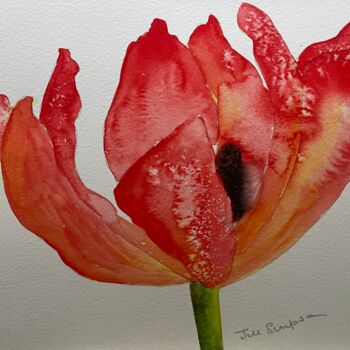 Schilderij getiteld "Red Tulip" door Jill Correale Jill Simpson, Origineel Kunstwerk, Aquarel