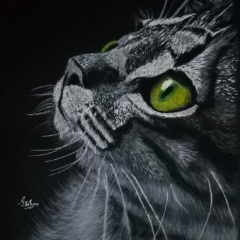 Dessin intitulée "Like cats' eyes gle…" par Jisha Rishad, Œuvre d'art originale, Fusain
