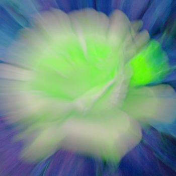 Photography titled "ZOOMING FLORAL 2D" by Jean-Jacques Massou, Original Artwork, Digital Photography