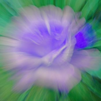 Photography titled "ZOOMING FLORAL 2E" by Jean-Jacques Massou, Original Artwork, Digital Photography