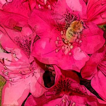 Photography titled "RHODODENDRON 8" by Jean-Jacques Massou, Original Artwork, Digital Photography