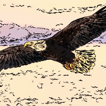 Digitale Kunst getiteld "Bald Eagle" door Jack Cash Jr, Origineel Kunstwerk