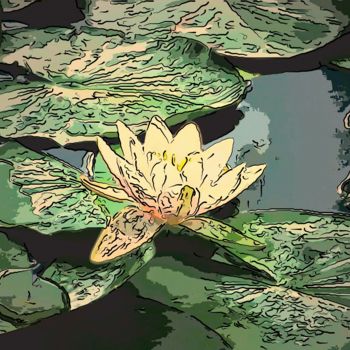Arte digitale intitolato "Water Lilly On A Po…" da Jack Cash Jr, Opera d'arte originale