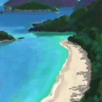 Pittura intitolato "Trunk Bay Beach" da Jeff Kiess, Opera d'arte originale, Olio