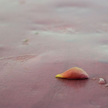 Photographie intitulée "matins froids" par Jean-Marc Angelini, Œuvre d'art originale