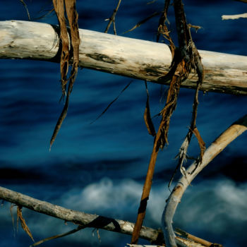 Photographie intitulée "bois flotté" par Jean-Marc Angelini, Œuvre d'art originale