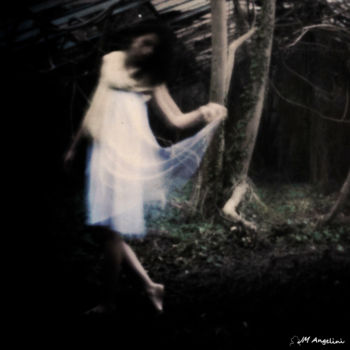 摄影 标题为“Forêt enchantée” 由Jean-Marc Angelini, 原创艺术品