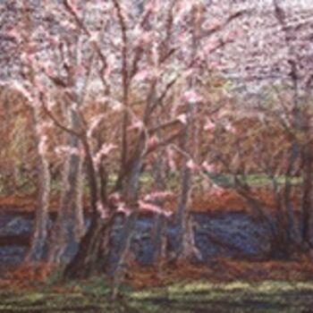 Картина под названием "Cherry Tree (pastel)" - Joan Cole, Подлинное произведение искусства, Масло