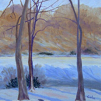 Painting titled "Afternoon Snow" by Joan Cole, Original Artwork, Oil