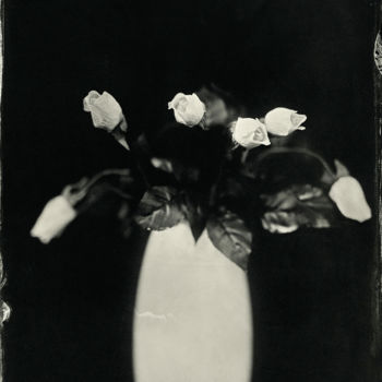 Photography titled "Flowers, wet plate…" by Joanna Borowiec, Original Artwork